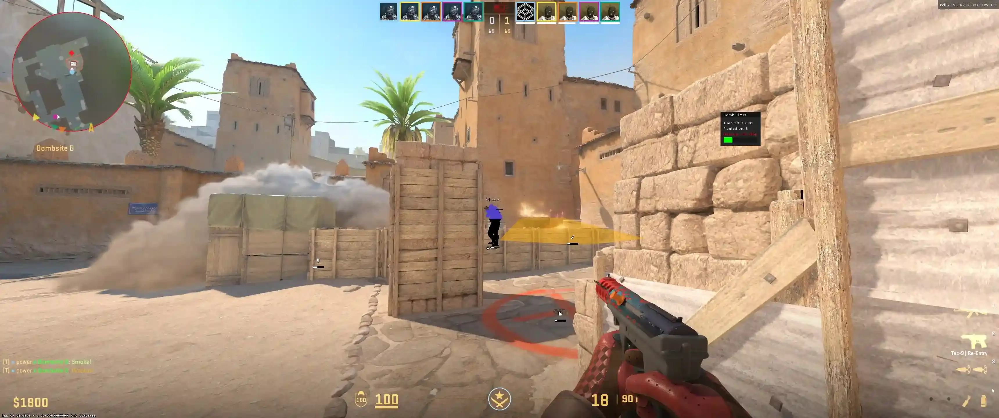 Pellix DMA | CS2 Cheat — screenshot 2