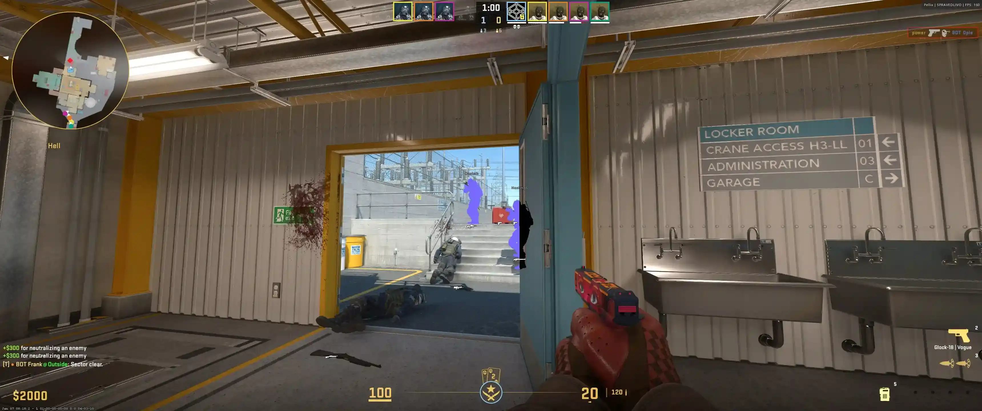 Pellix DMA | CS2 Cheat — screenshot 3